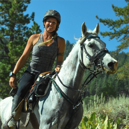 Picture for category Champion & Veteran Horses